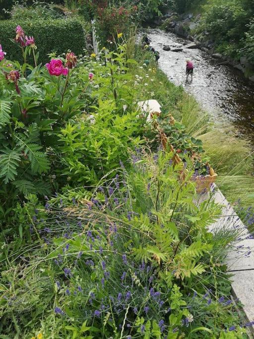 Guenstige, Schoene Ferienwohnung Im Wanderparadies Wernigerode Exteriér fotografie
